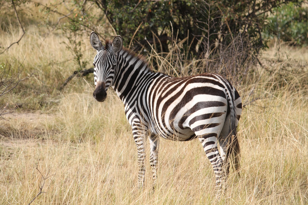 How to Support Local Communities in Tanzania’s Serengeti